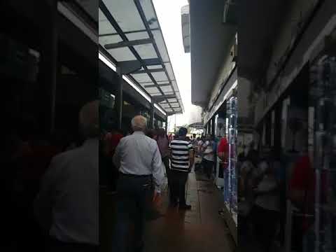 Joda en la bahía los encartonados