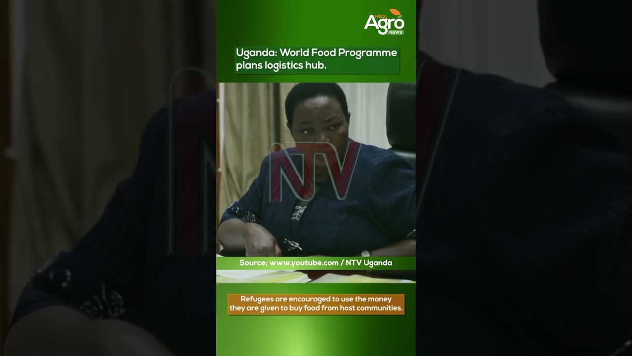 Nyeri farmers count losses as floods destroy roads | World Food Program plans logistic hub