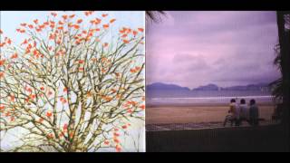 Foals - What Remains (bonus cd loop)