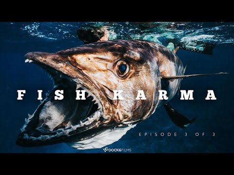 Spearfishing 56kg dog tooth Tuna in remote wreck island Fiji! FISH KARMA EP.3
