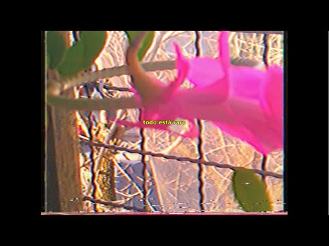 trashu - everything's weird