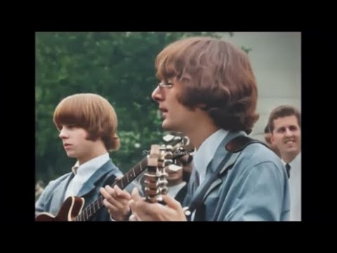 MR. TAMBOURINE MAN 📀 The Byrds {Stereo} 1965