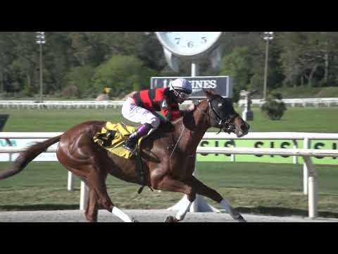 231007 c04 MI SANTINA