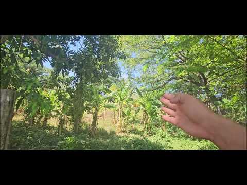 6,062 mts/2 casi la manzana en la cabaña, el paisnal en $52,500 negociable 