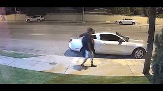 Homeless Woman living in a Dumpster at Mulberry Drive Whittier CA