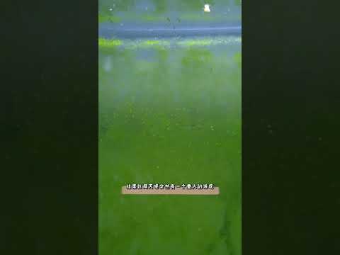 水的精髓