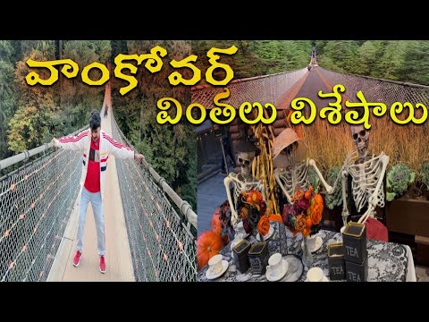 The Most Intense Bridge Walk in the World, Veeresh Canada Vlogs