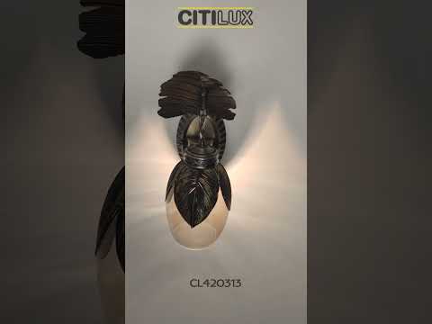 Превью видео