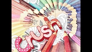 로만티코(Romantico)_심쿵(심장이 쿵)(Feat. 보라)(Crush On) [PurplePine Entertainment]