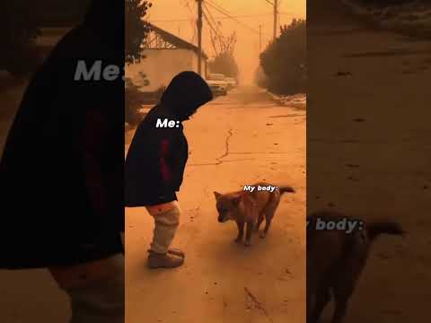 Shut up and squat 🏋🏻‍♂️#youtubeshorts #subscribe #viral #gym #shorts #short #comedy #girl #workout