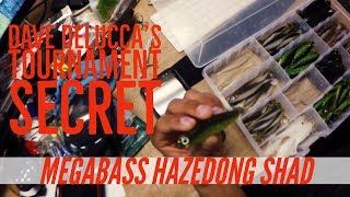 Megabass hazedong shad