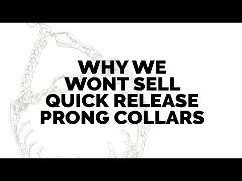 Why We WON'T SELL Quick Release Prong Collars