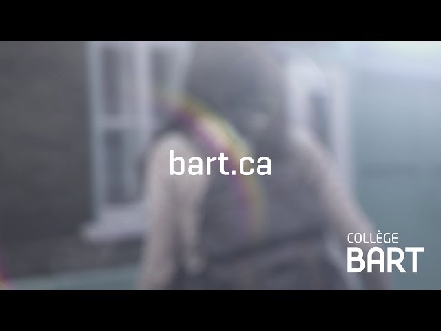 Collège Bart vidéo #1