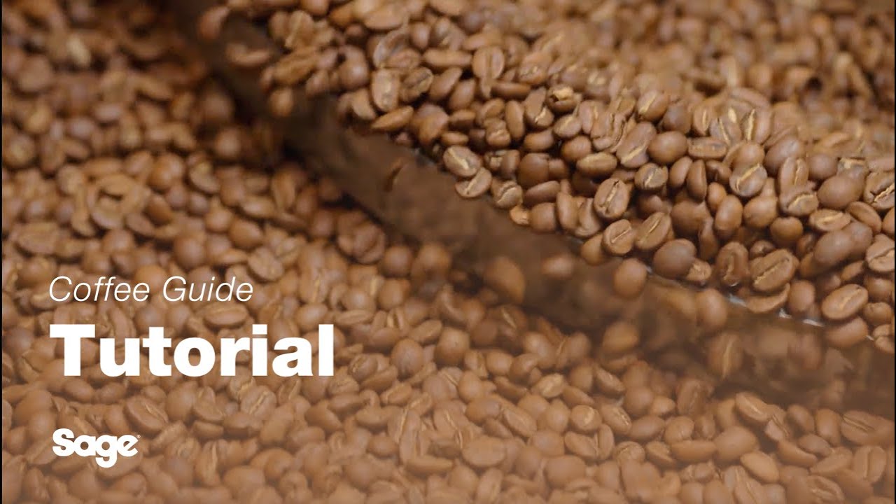 Breville coffee guide tutorial - Choosing the right beans 
