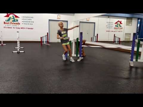 Ashley & Kona in the Competition Class