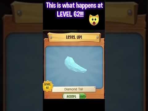This Is What Happens At LEVEL 62 in Animal Jam  #animaljam #ajpw