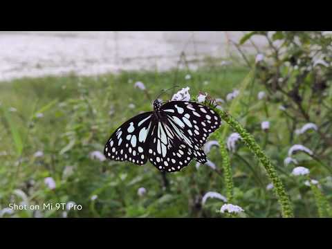 Mi 9T Pro: Shot On #Mi9TPro