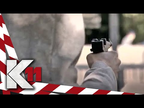 Is gun enthusiast Andreas (17) planning a school shooting?! | 1/2 | K11 - Commissioners in Action...