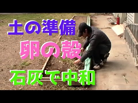 卵の殻とトマトの植物が 2022 年にもたらす恩恵