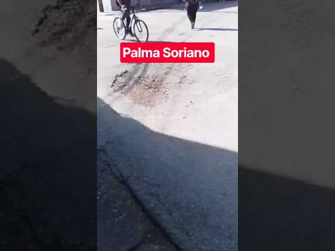 Palma Soriano, Cuba.  #palmasoriano #santiagodecuba #cuba