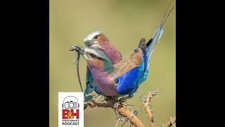 The Ethics of Wildlife Photography with Melissa Groo & Bobby Stormer