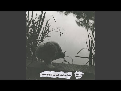 Video thumbnail for ​bent like a nail