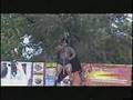 JerseY Connect Bill Grant S Bodybuilding Figure Classic5