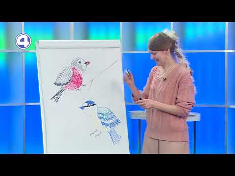 Как нарисовать синичку: урок для самых маленьких