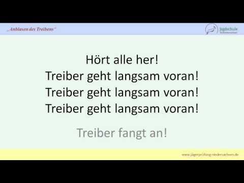 Jägerprüfung Niedersachsen Anblasen des Treibens