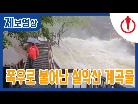아이콘