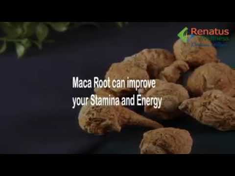 MACA ROOT BENEFITS WITH RENATUS NOVA