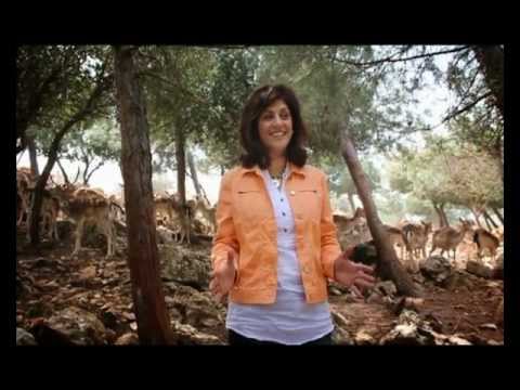 Araka Elahi Arak   اراك إلهي اراك