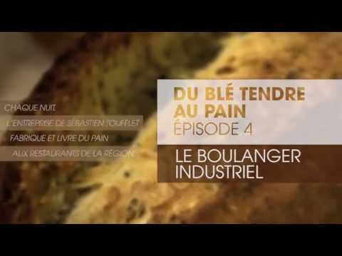 [Au Fil du Grain] Du blé tendre au pain : le boulanger industriel | Les Céréales