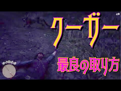 クーガーの種類