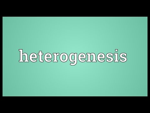 Heterogenesis Meaning