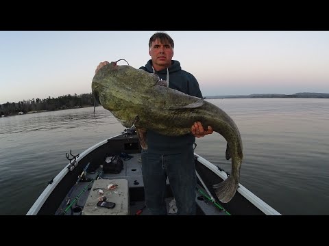 7 Keys To Catch A MONSTER CATFISH (Huge Flathead!)