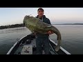 7 Keys To Catch A MONSTER CATFISH Huge Flathead