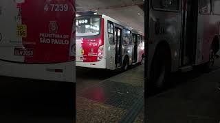 Ônibus do Pêssego Transportes 4 7239 Caio Apache Vip II MB OF 1418