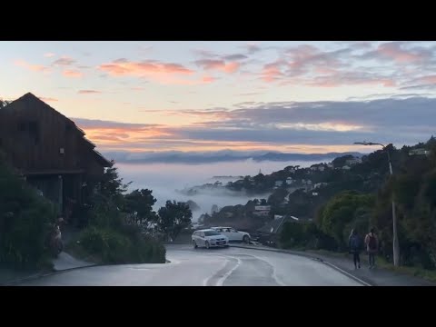 Dashcam - Crofton downs foggy morning