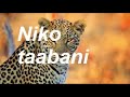NIKO TAABANI