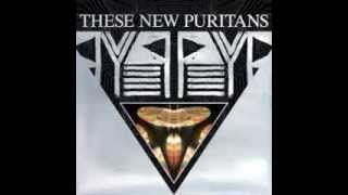These New Puritans - Spiral