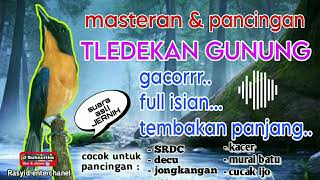 Download lagu masteran tledekan gunung gacor untuk pancingan burung fighter mp3 Download lagu masteran tledekan gunung gacor untuk pancingan burung fighter mp3