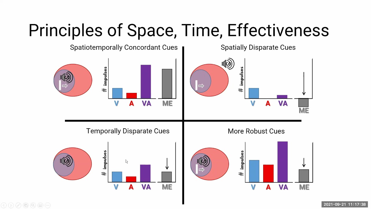 Dr. Benjamin Rowland on Multisensory Integration: Development, Plasticity, and Applications
