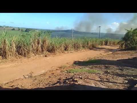 Fazenda bandeira branca Mamanguape paraiba  08 03 2026
