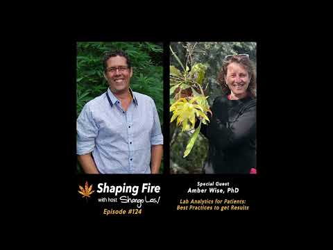 Shaping Fire EP124 Lab Analytics for Patients: Best Practices to Get Results with Amber Wise PhD