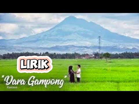 DARA  GAMPONG - RIALDONI ( OFFICIAL LIRIK )