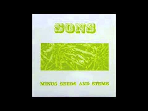 The Sons Of Champlin  - Minus Seeds and Stems
