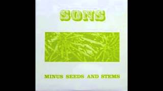The Sons Of Champlin  - Minus Seeds and Stems