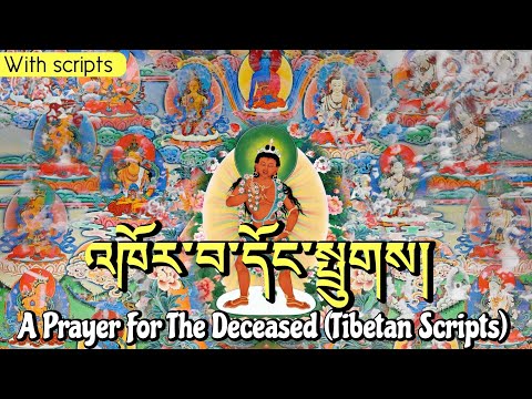☸A Prayer For The Dead (With Tibetan Scripts)འཁོར་བ་དོང་སྤྲུགས|Khorwa Dongtruk|Puja - Monks Chanting