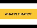 What is IATA Timatic?